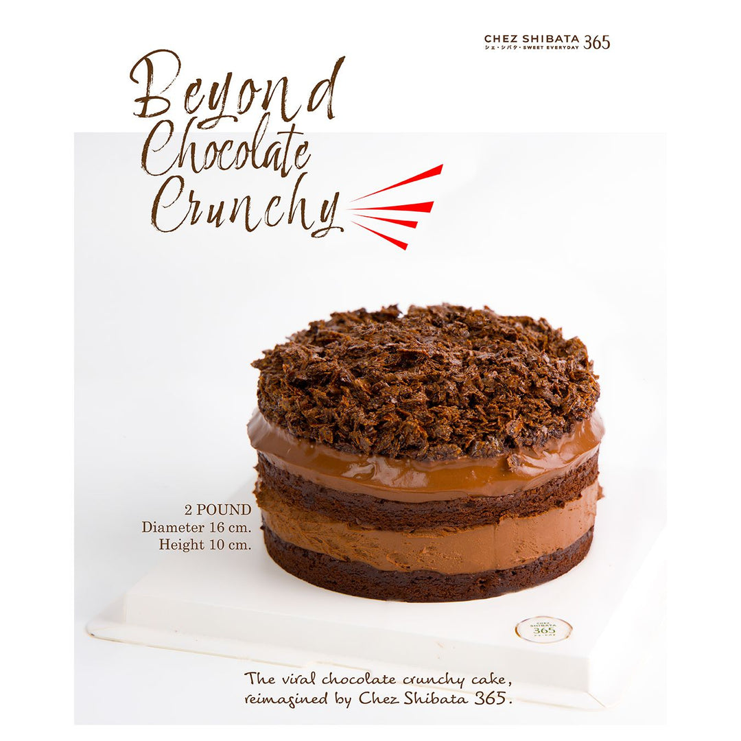 Chocolate cake with text about Chez Shibata 365 on a white background