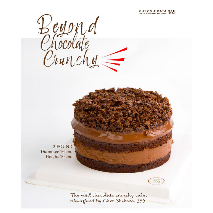 Chocolate cake with text about Chez Shibata 365 on a white background