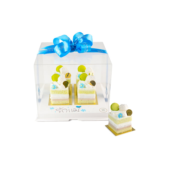 Small square cakes with green and white design in a clear box with a blue ribbon on a white background