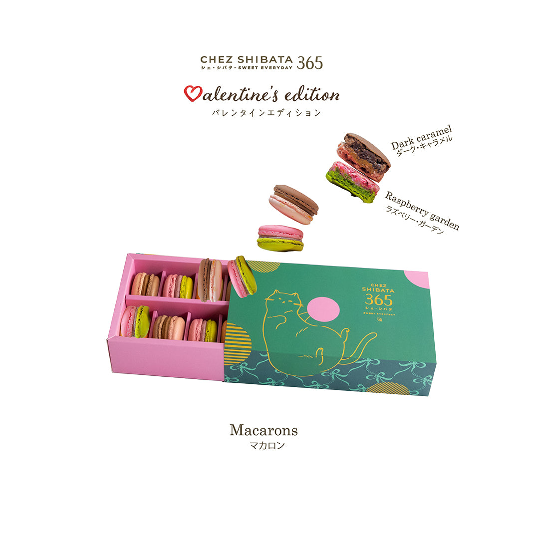 Chez Shibata 365 Valentine’s Edition macarons 12-piece set in a pink and green cat-themed box with assorted colourful macarons including Dark Caramel and Raspberry Garden