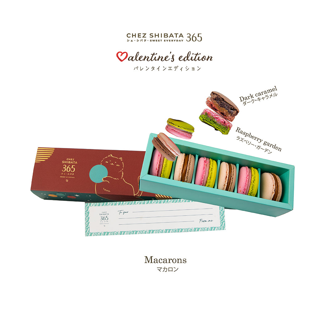 12 Macarons set – Chez Shibata 365 シ ェ ・ シ バ タ