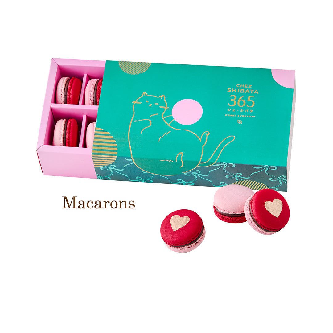 12 pieces Macaron box