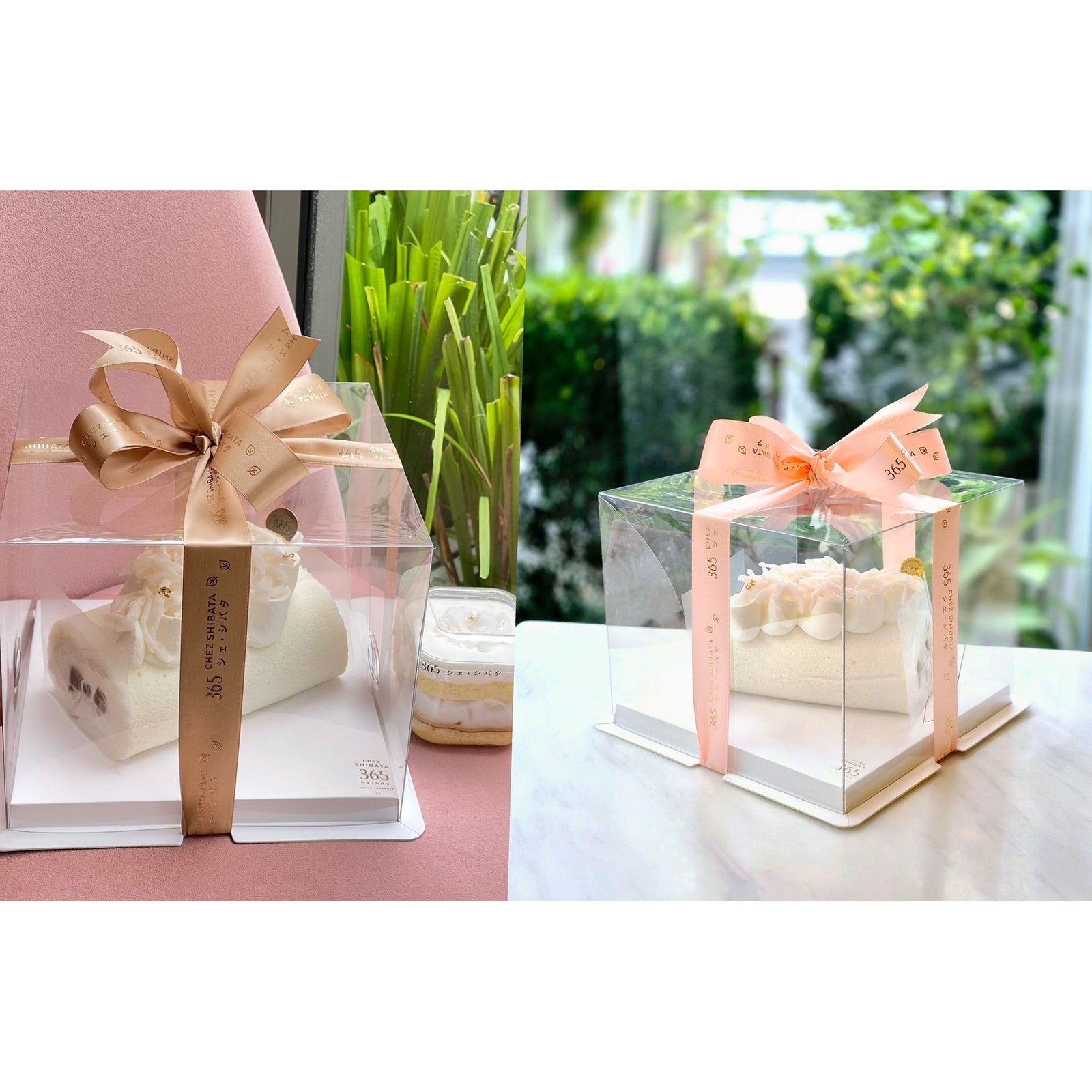 เค้กโรลมะพร้าวสีขาวบรรจุในกล่องเค้กใส ผูกริบบิ้นหรูสีทองและสีชมพูพาสเทล จากร้าน Chez Shibata 365 จัดวางในบรรยากาศสว่างสดใสริมหน้าต่าง