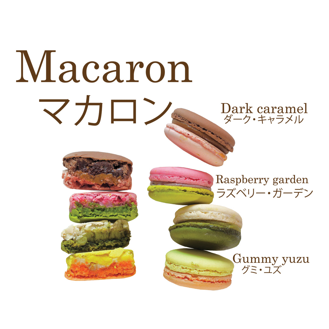 6 piece macaron set