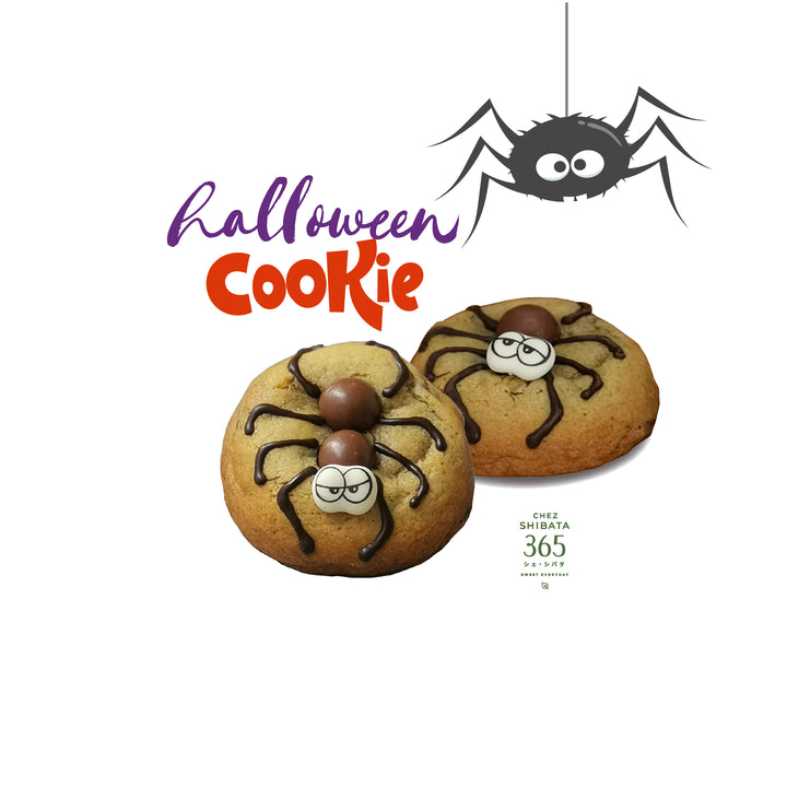 Spider soft chocolate cookie スパイダー　チョコクッキー คุกกี้แบบนิ่ม เนื้อนุ่มละมุนใจในรูปแบบน้องแมงมุมตัวน้อย สั่งคุกกี้ออนไลน์ได้เลยนะคะ